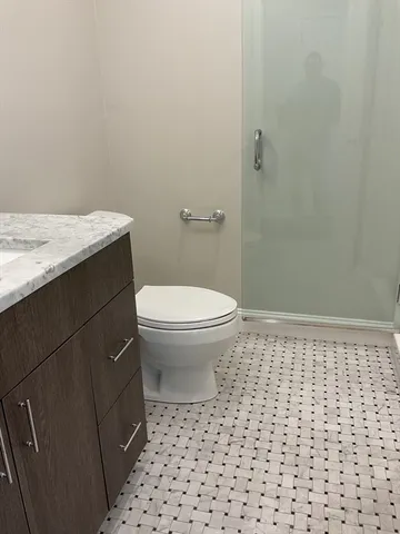 a bathroom with a sink a toilet and a shower
