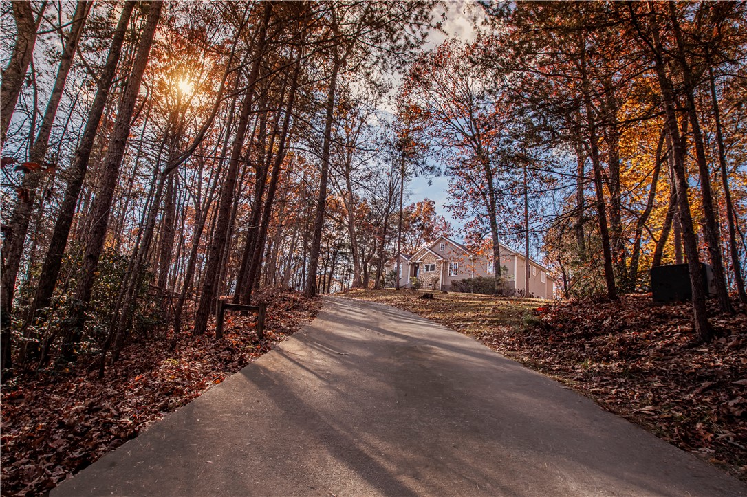 310 Raven Cliff Road Cleveland, SC 29635 - Photo 7 of 46