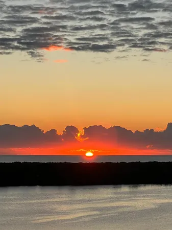a close up of a wall with paintings on the wall