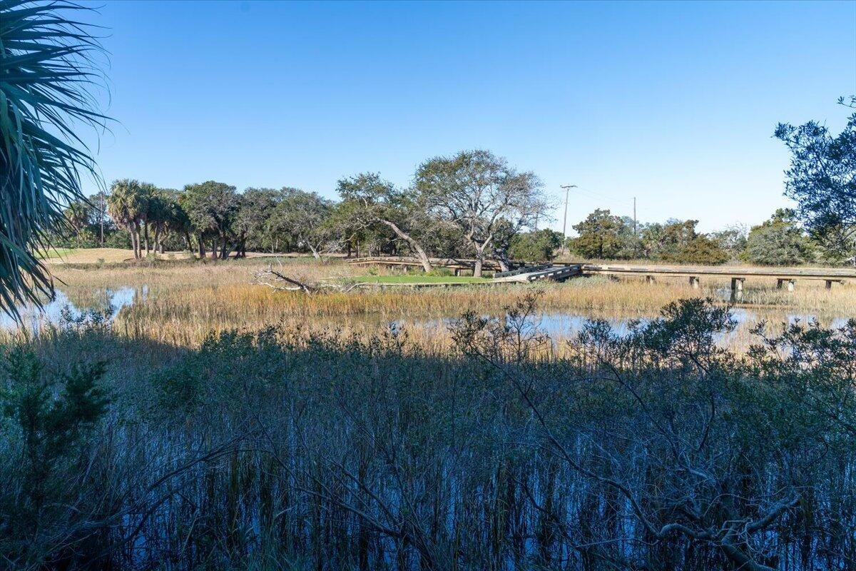 17 Linkside Court Isle of Palms, SC 29451 - Photo 37 of 38 41-17LinksideCt_041