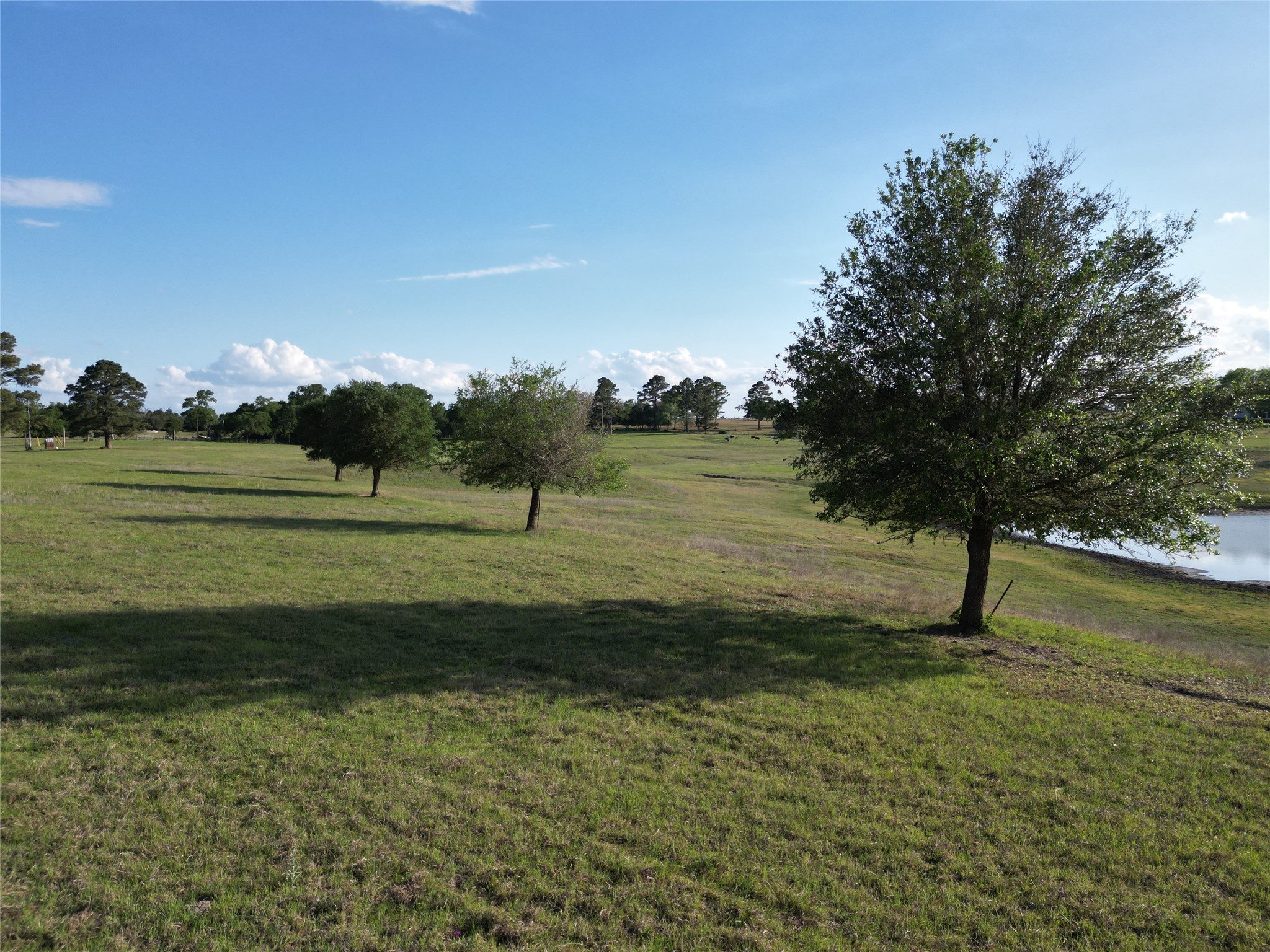 2525 North Meyersville Road Brenham, TX 77833 - Photo 2 of 22