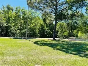 a view of a large yard with large trees
