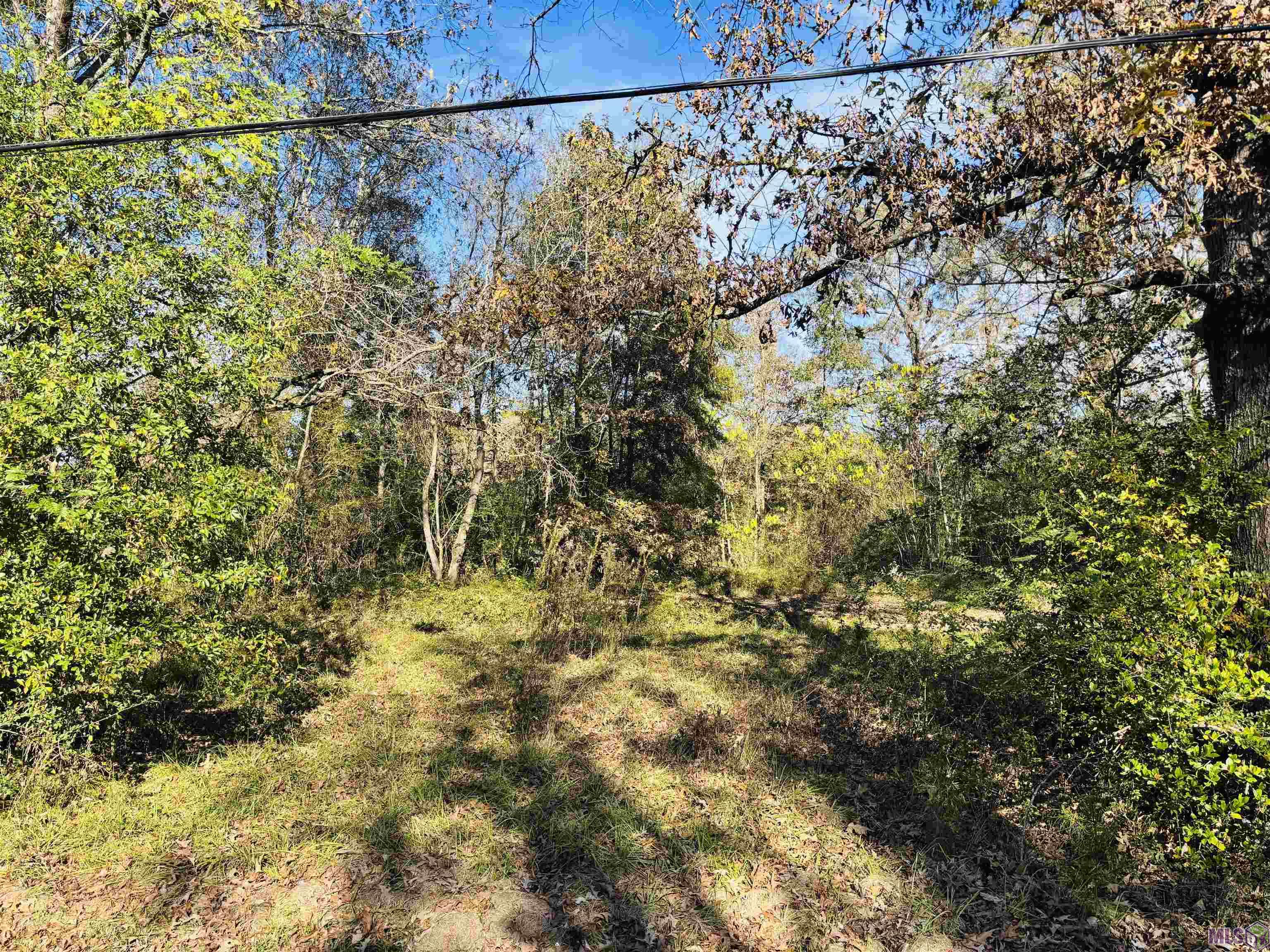 5657 Cheryl Drive Baton Rouge, LA 70814 - Photo 2 of 5