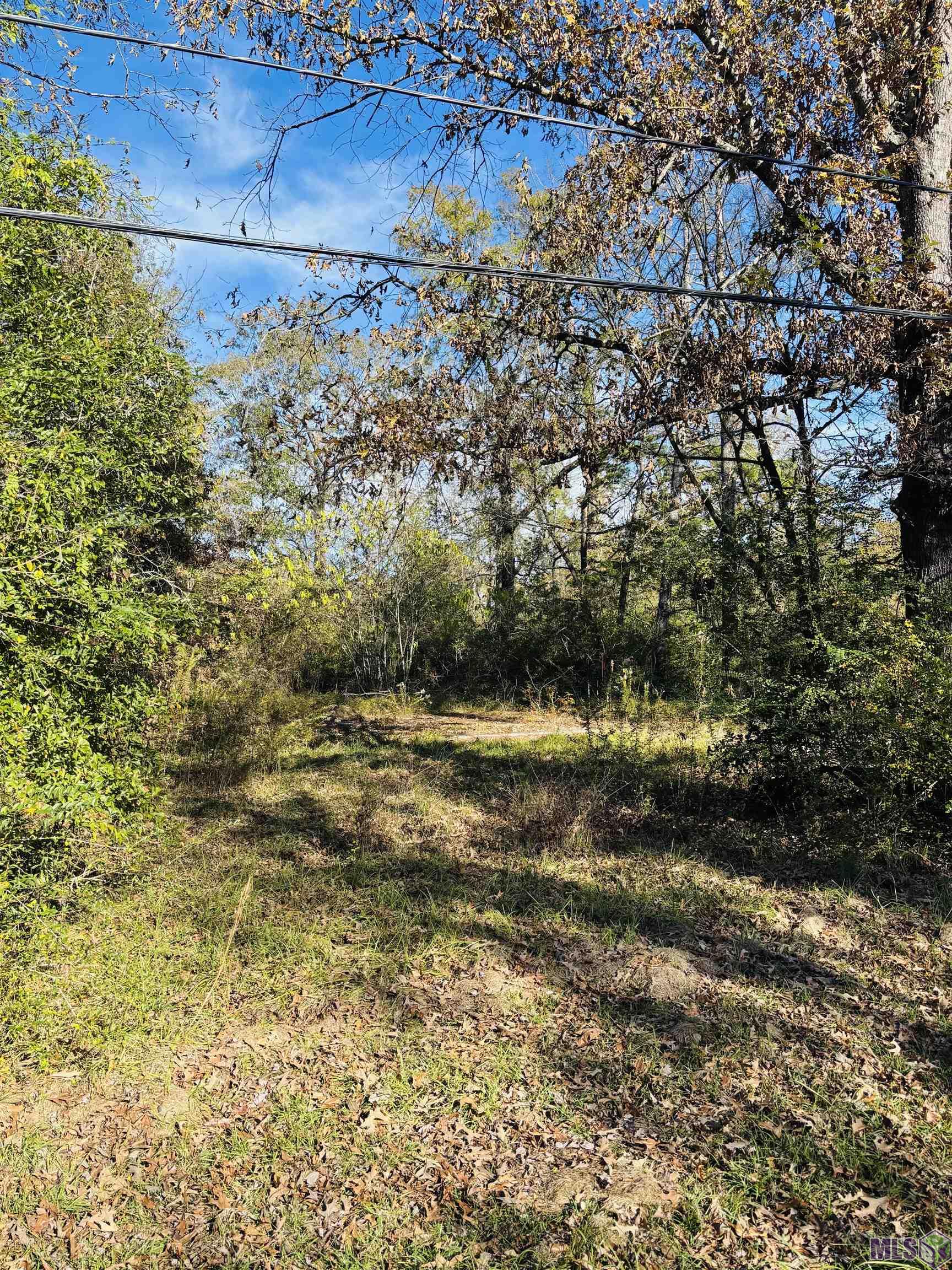 5657 Cheryl Drive Baton Rouge, LA 70814 - Photo 3 of 5