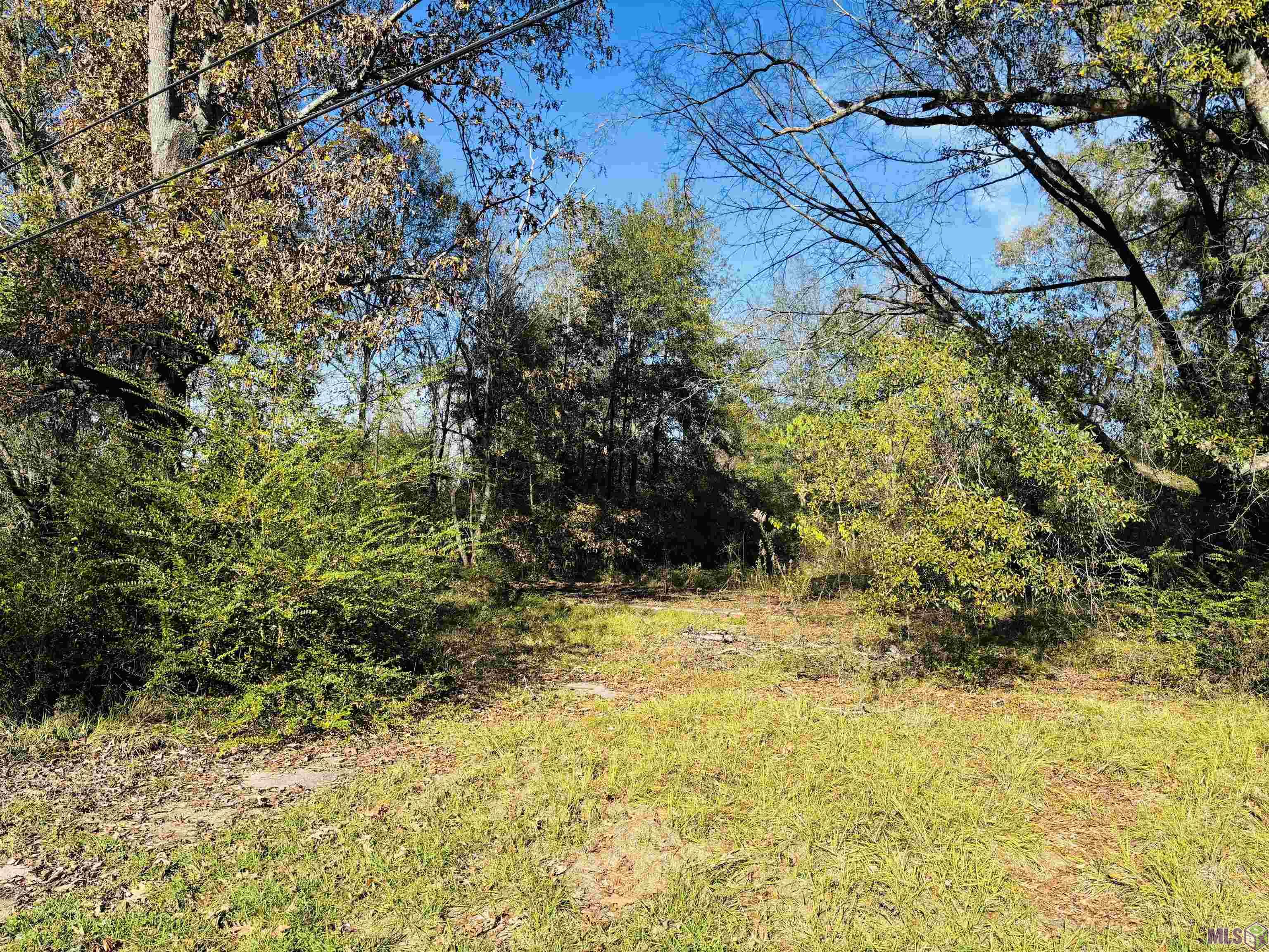 5657 Cheryl Drive Baton Rouge, LA 70814 - Photo 4 of 5