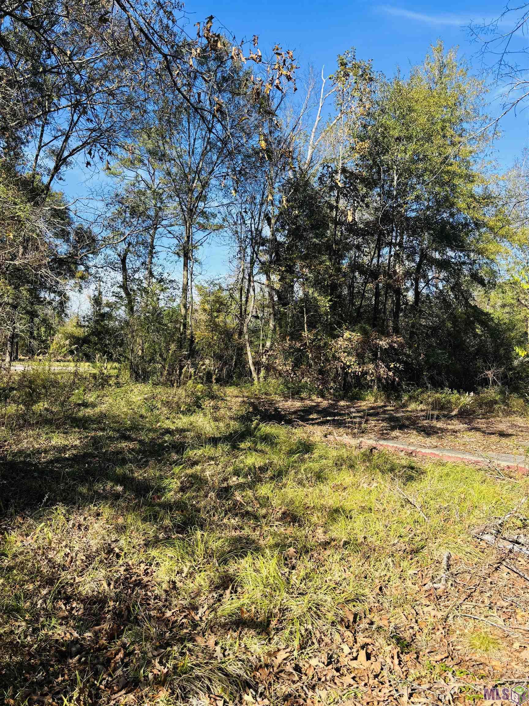 5657 Cheryl Drive Baton Rouge, LA 70814 - Photo 5 of 5