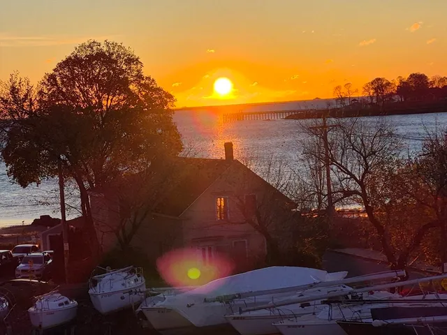 a view of a yard from a patio