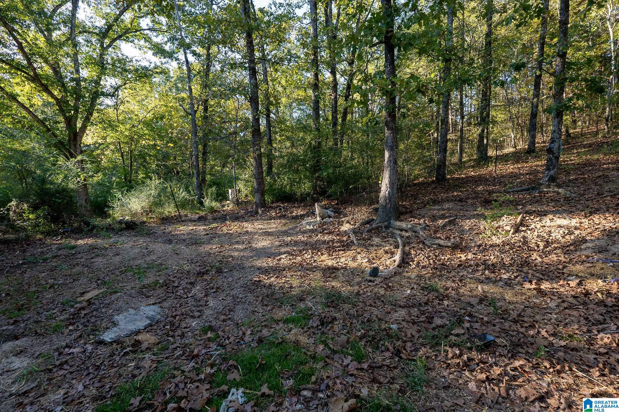 2938 Jackson Road Morris, AL 35116 - Photo 20 of 49