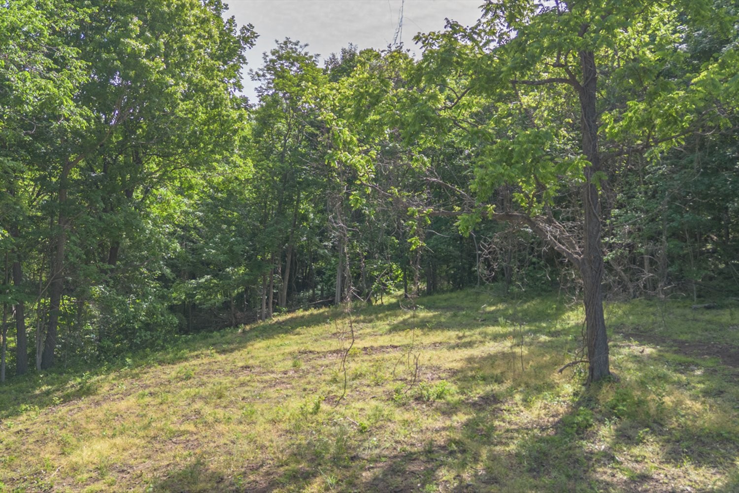 402 Cortner Hollow Road Petersburg, TN 37144 - Photo 50 of 54