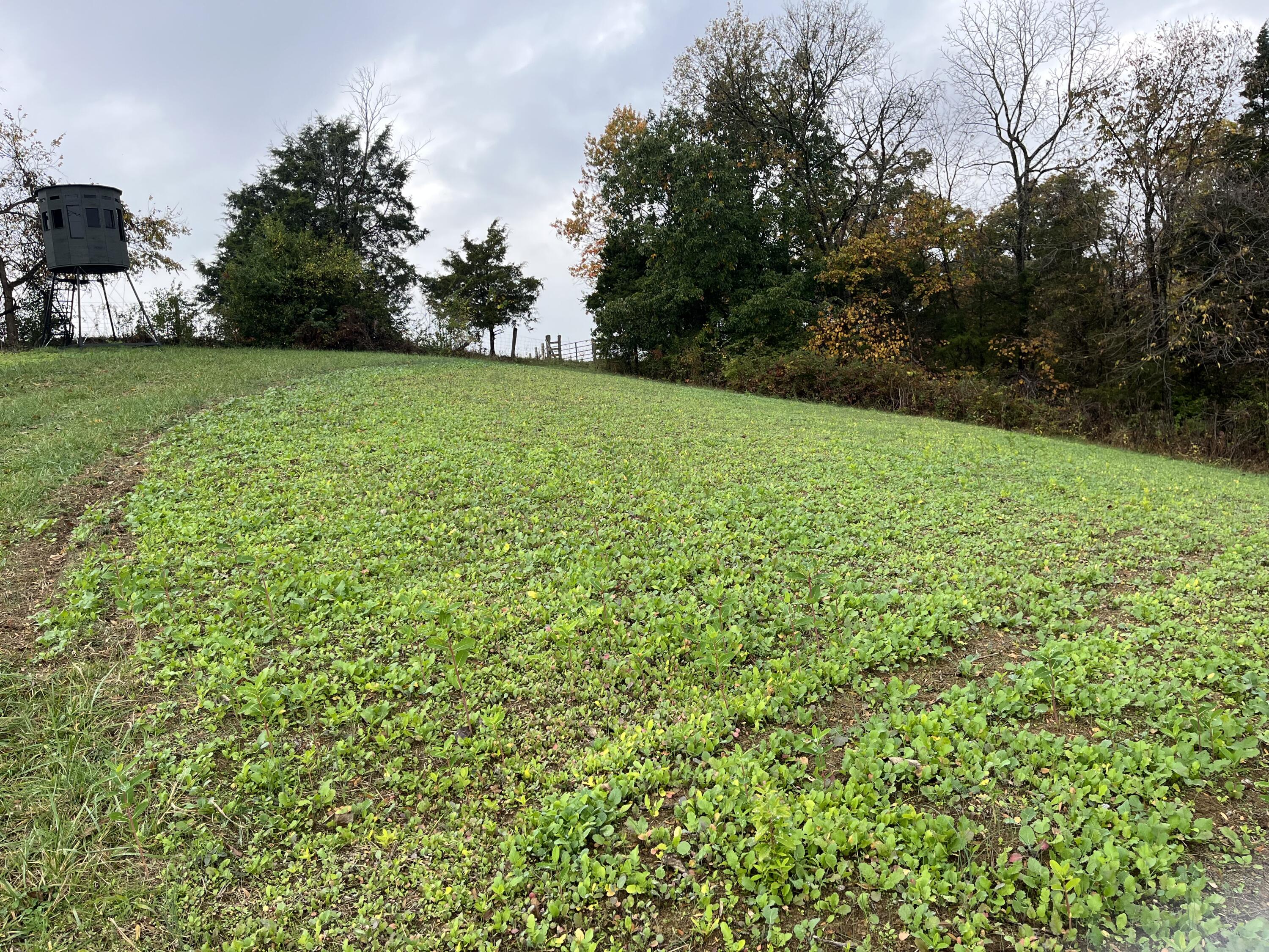 699 Johnson Road Carlisle, KY 40311 - Photo 6 of 59 IMG_2556