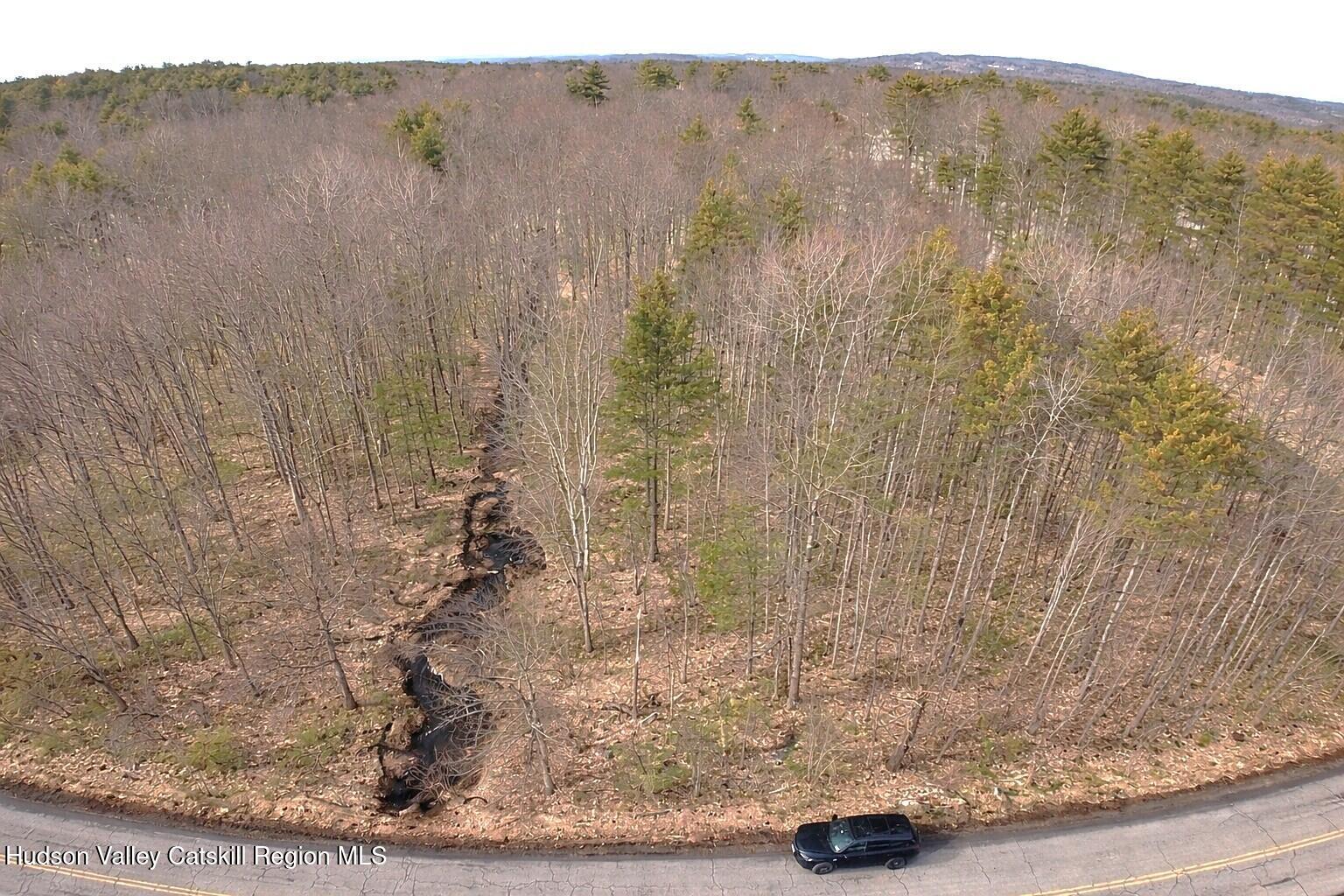 Tbd Silver Spur Road West Cairo, NY 12413 - Photo 8 of 11 8