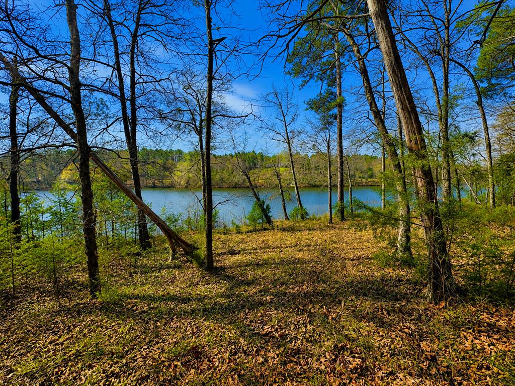 519 Terrapin Pointe Road Hodges, SC 29653 - Photo 1 of 7 Main View