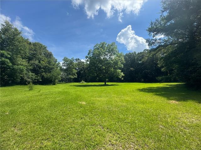 0 Cowart Road Bush, LA 70431 - Photo 1 of 10