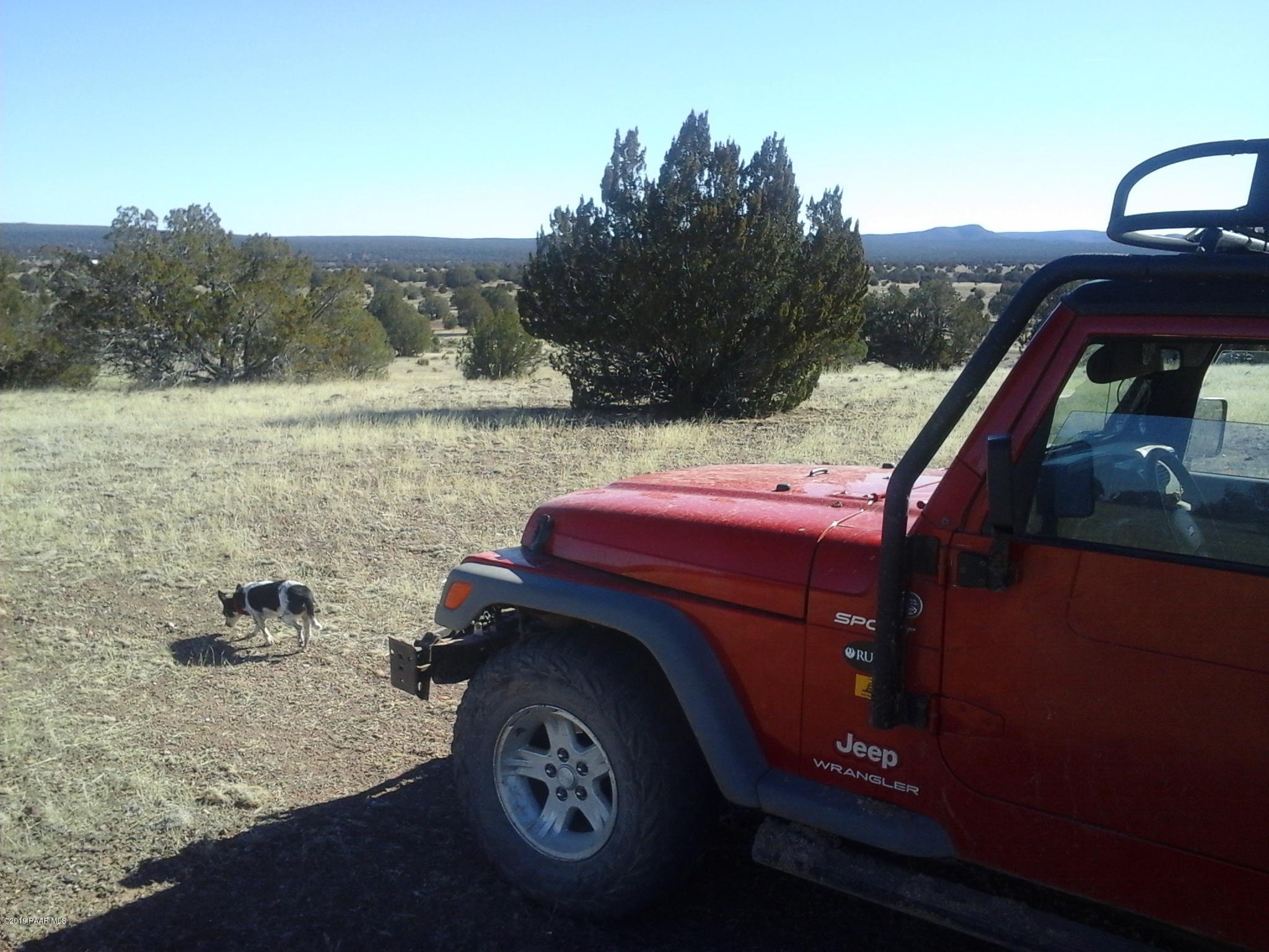 Lot 17 Lot Ranch Ash Fork, AZ 86320 - Photo 13 of 19 20190126_134353