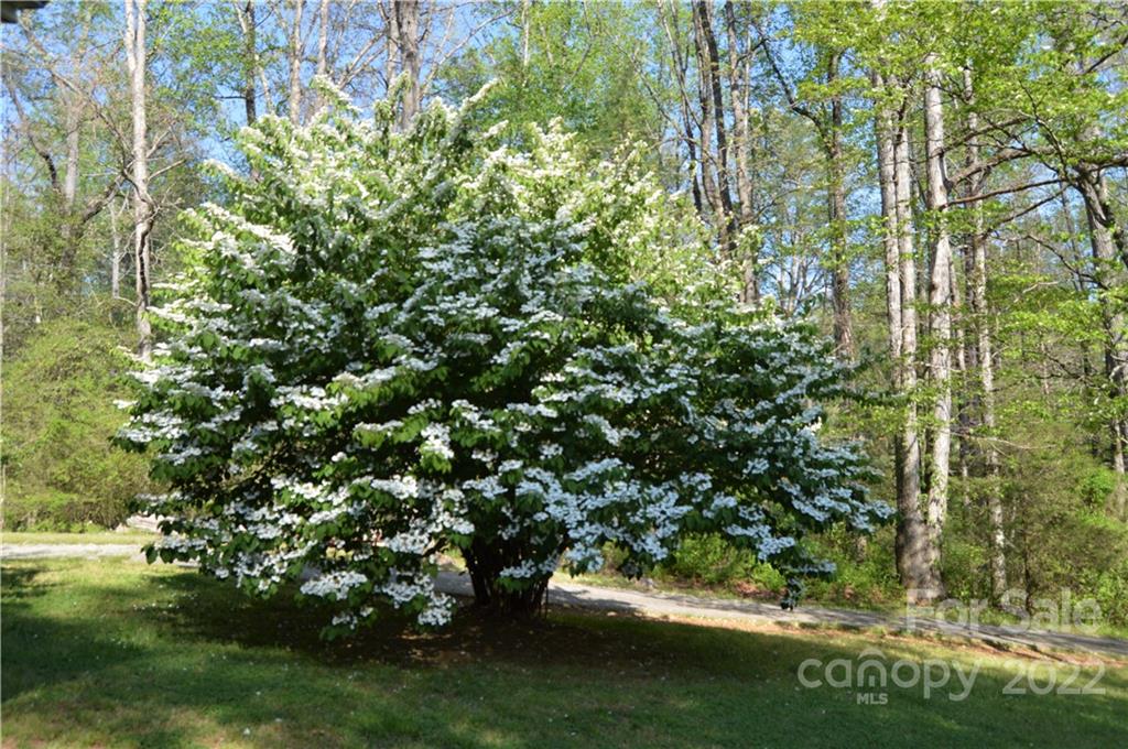 4155 Beach Road Hudson, NC 28638 - Photo 29 of 32 Gallery Image 29