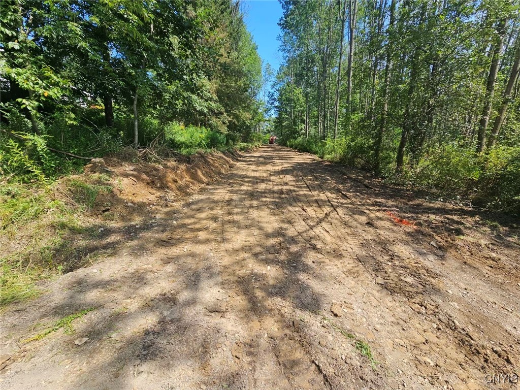 48 Gaf Lake Road Windsor, NY 13865 - Photo 2 of 2