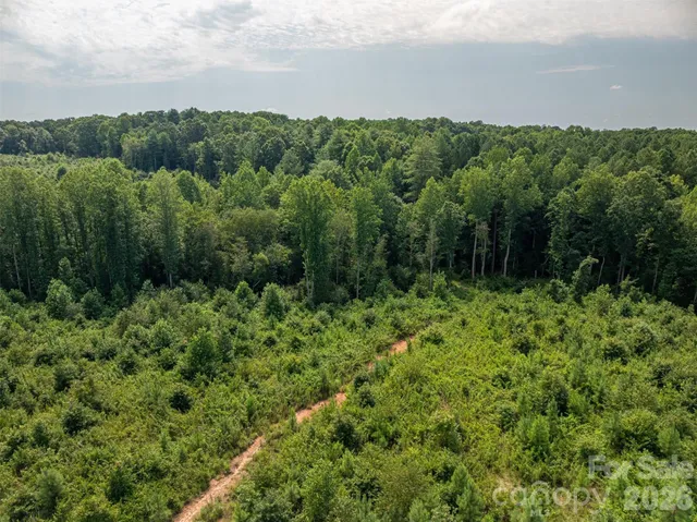 a view of a lush green forest with trees in the background