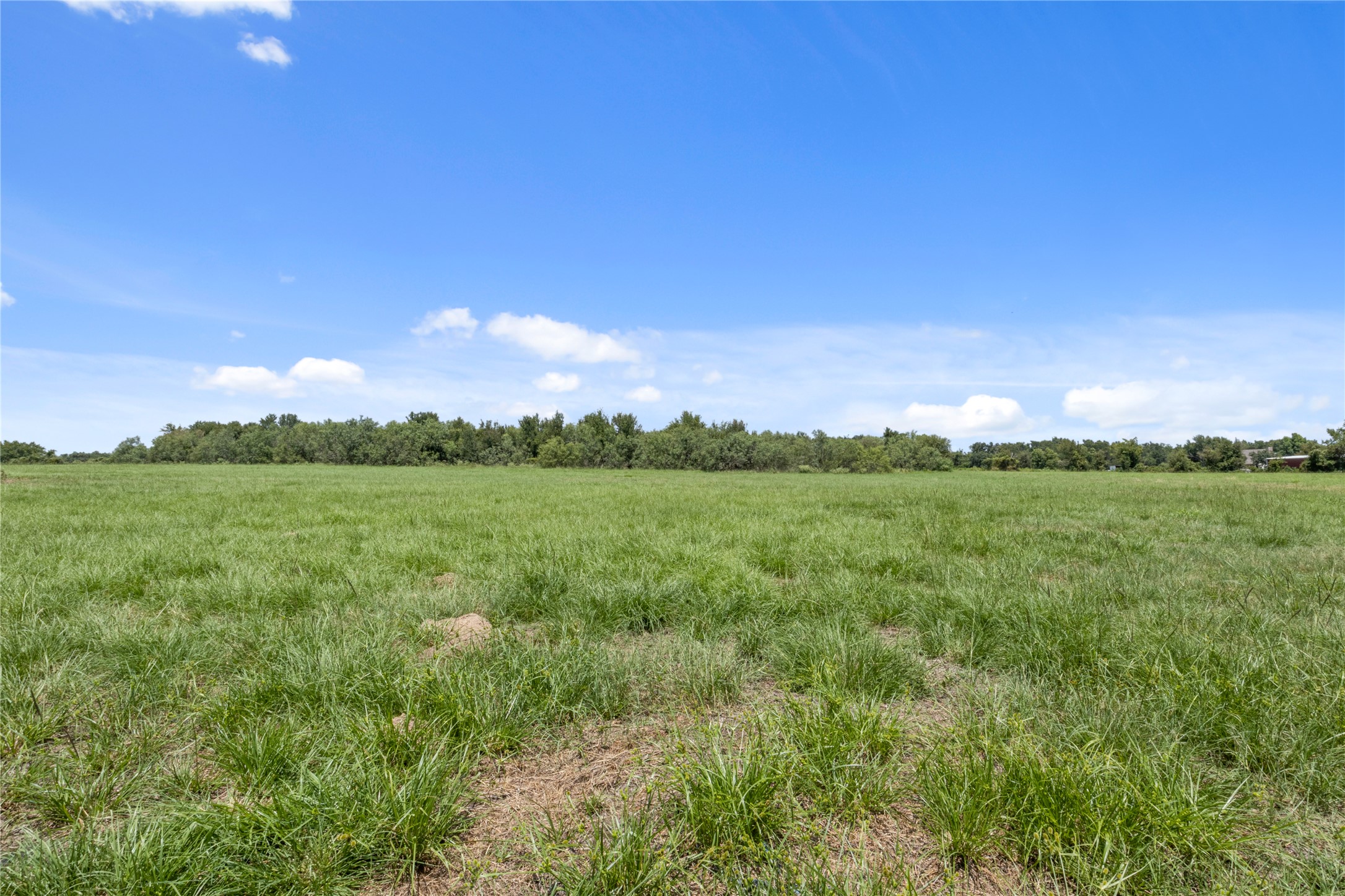 451 Pleasant Grove Road Elgin, TX 78621 - Photo 21 of 32 a view of a city with lush green forest
