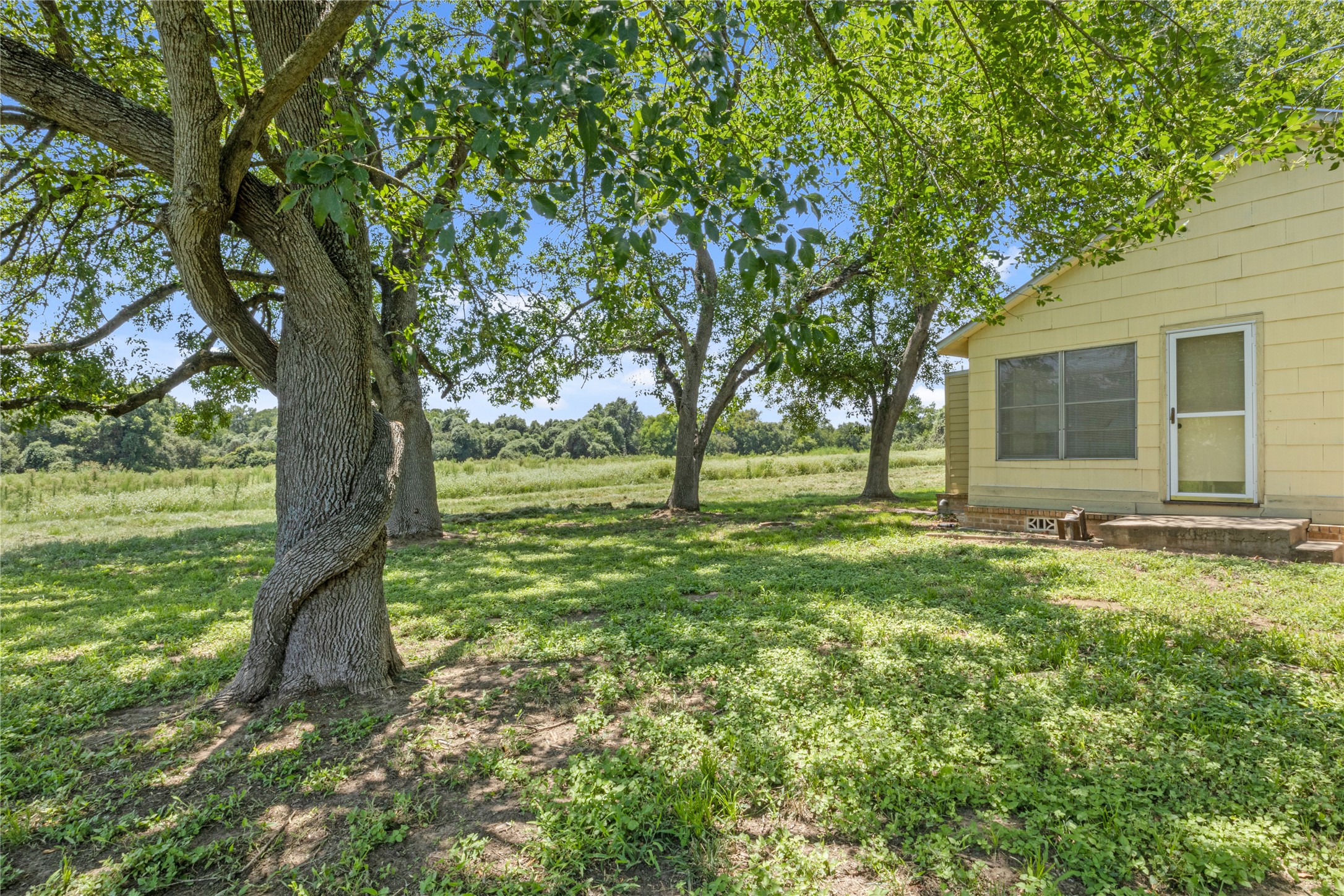 451 Pleasant Grove Road Elgin, TX 78621 - Photo 26 of 32 a view of a house with a backyard