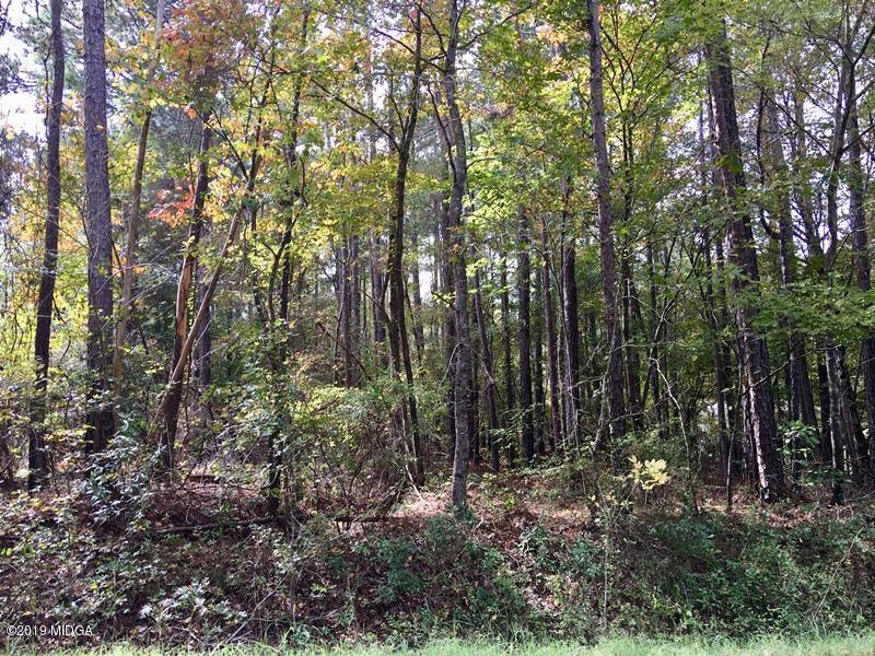 Lot 234 Bluegill Road Eatonton, GA 31024 - Photo 1 of 8 1