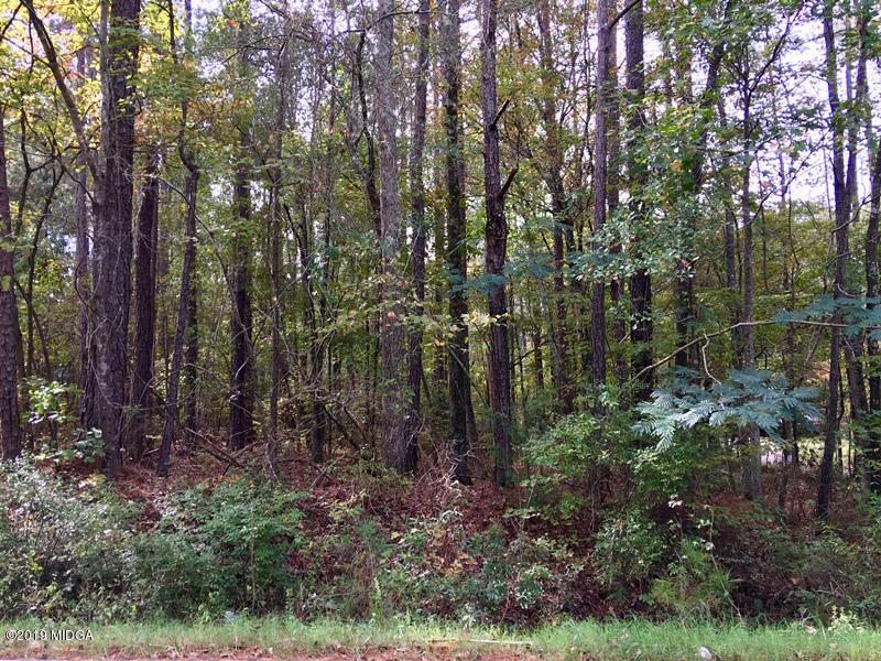 Lot 234 Bluegill Road Eatonton, GA 31024 - Photo 2 of 8 2