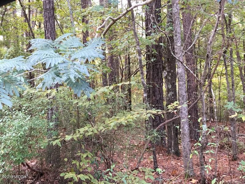 Lot 234 Bluegill Road Eatonton, GA 31024 - Photo 3 of 8 3