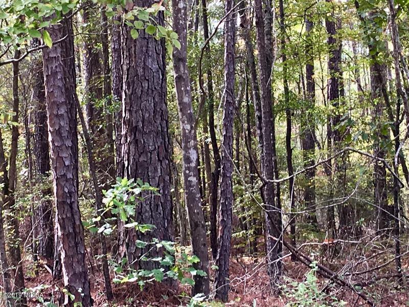 Lot 234 Bluegill Road Eatonton, GA 31024 - Photo 6 of 8 6