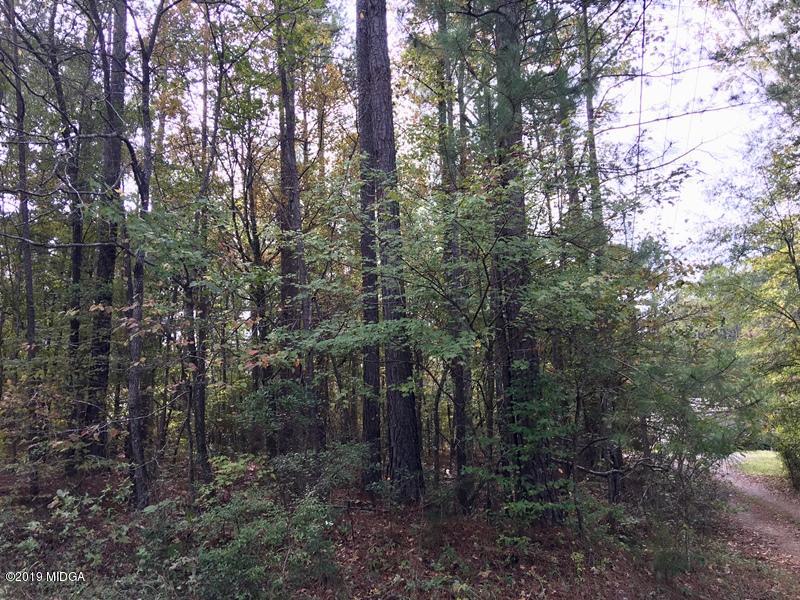 Lot 234 Bluegill Road Eatonton, GA 31024 - Photo 7 of 8 7