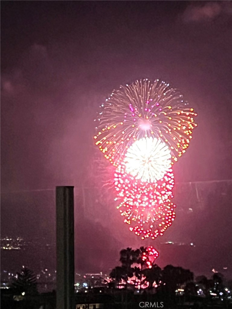 75 Palm Beach Court Dana Point, CA 92629 - Photo 38 of 46 a view of entryway