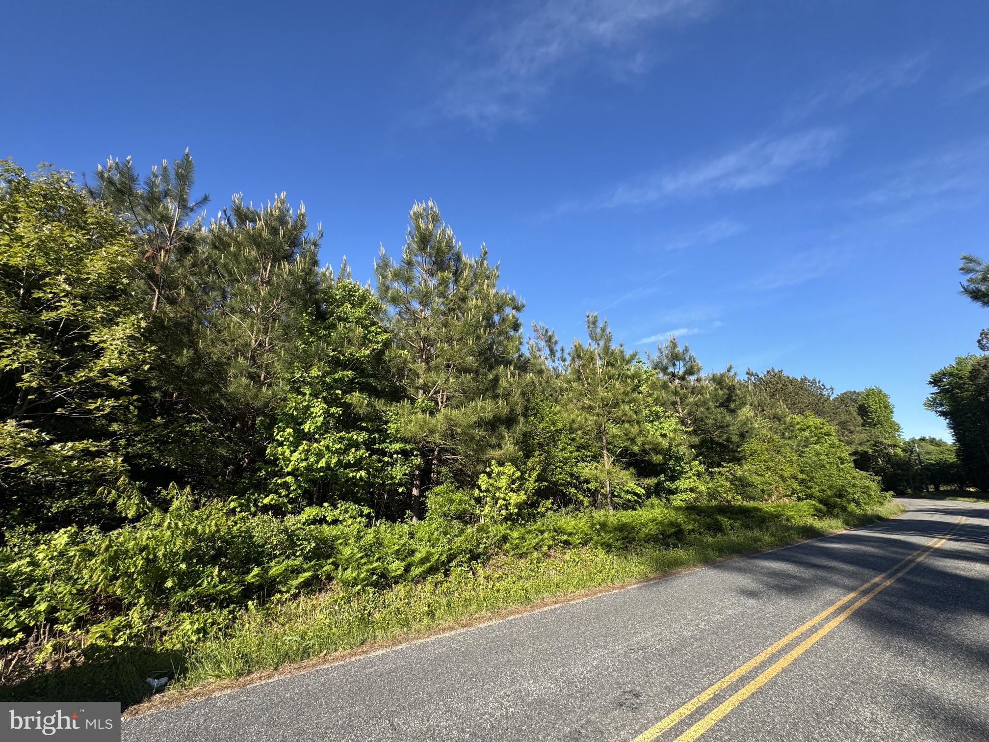 Beach Road Reedville, VA 22539 - Photo 2 of 4 a view of a garden with a flower garden
