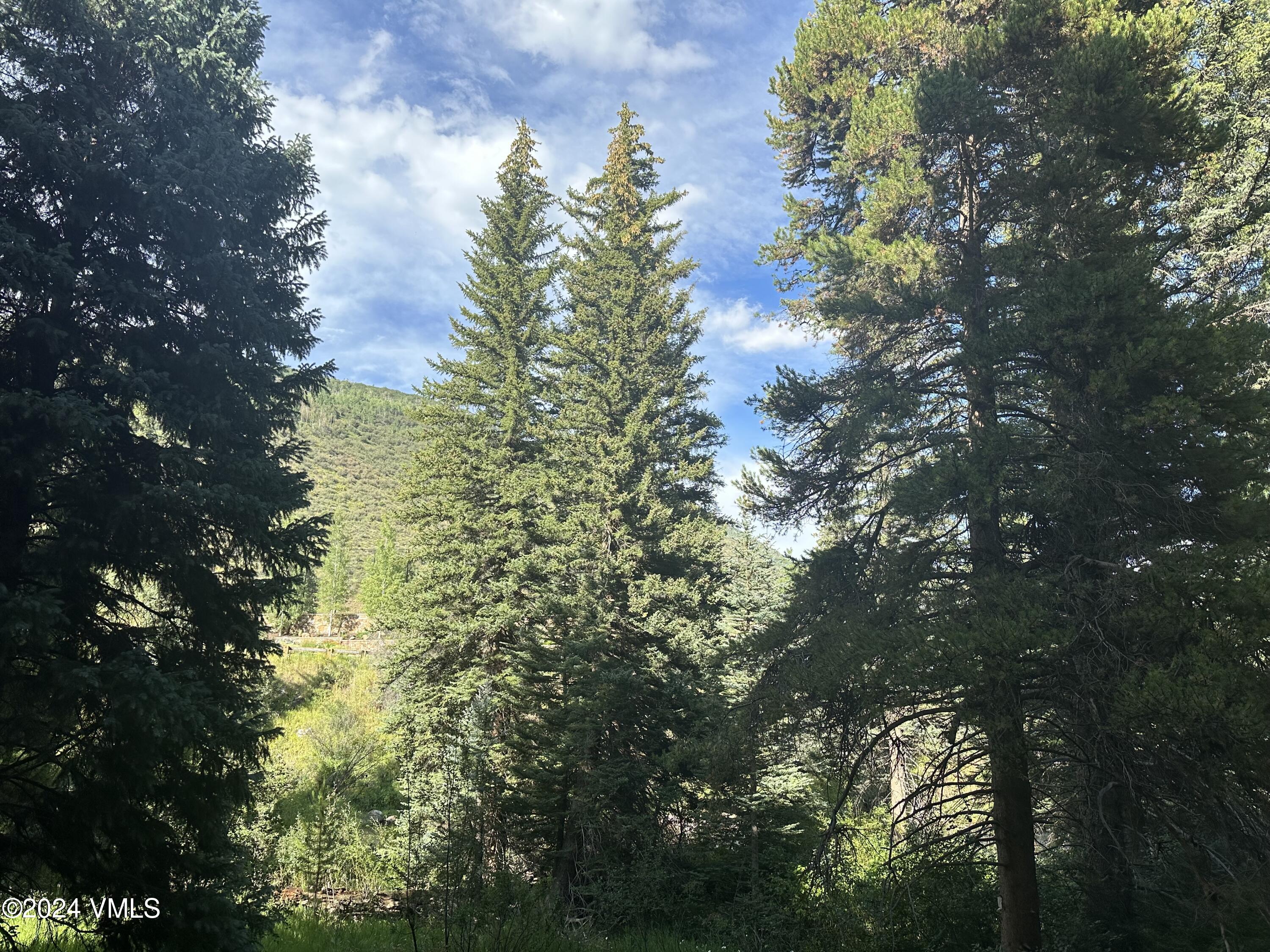 595 Vail Valley Drive, Unit E121 Vail, CO 81657 - Photo 5 of 12 a view of a tree in a yard