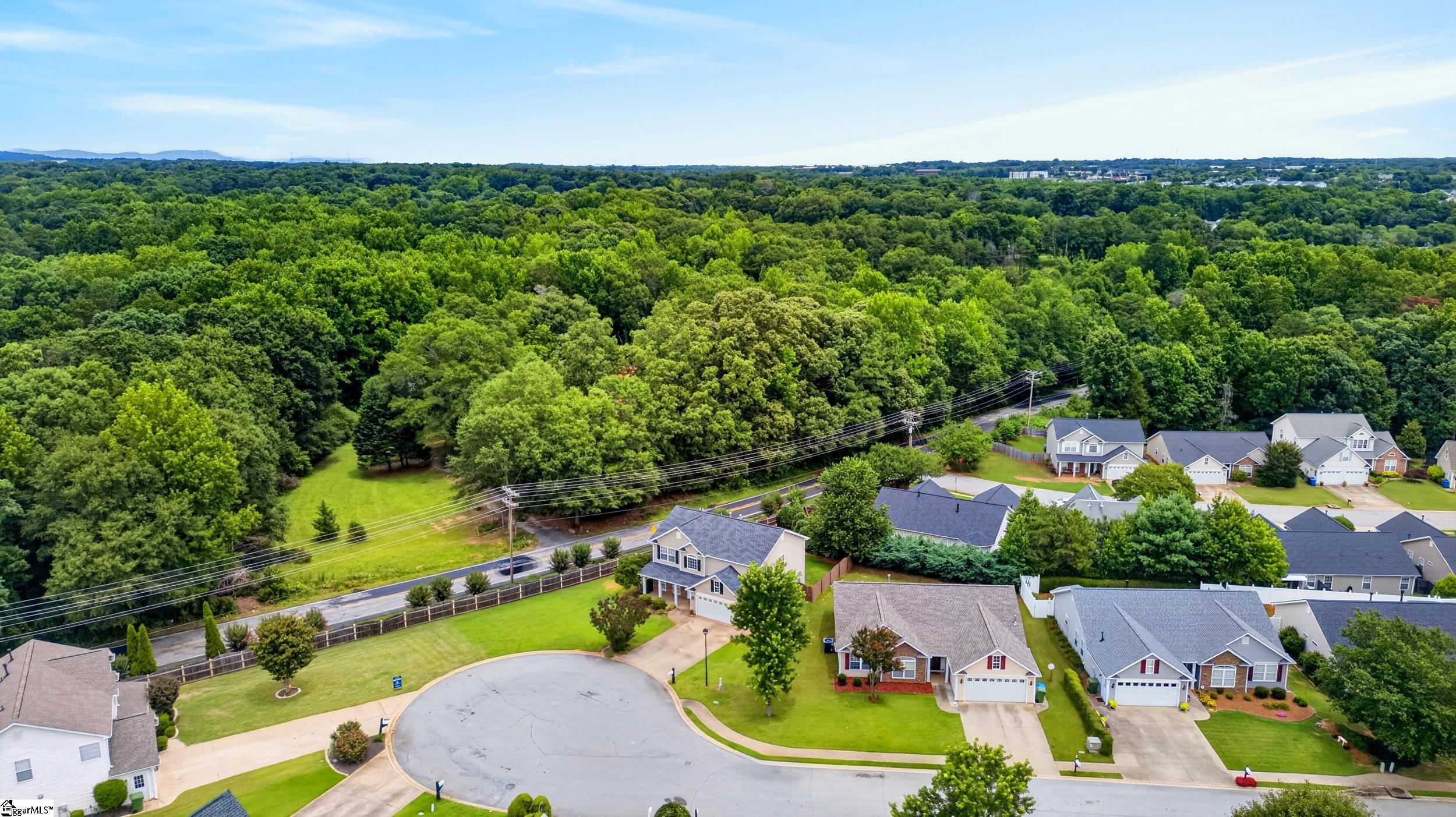 128 Saxon Falls Court Mauldin, SC 29607 - Photo 39 of 42