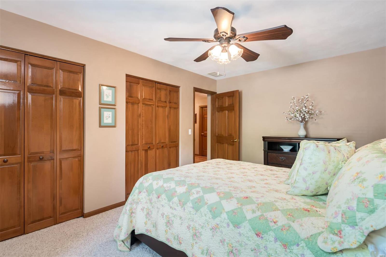 141 Summerlin Ridge O'Fallon, IL 62269 - Photo 21 of 30
