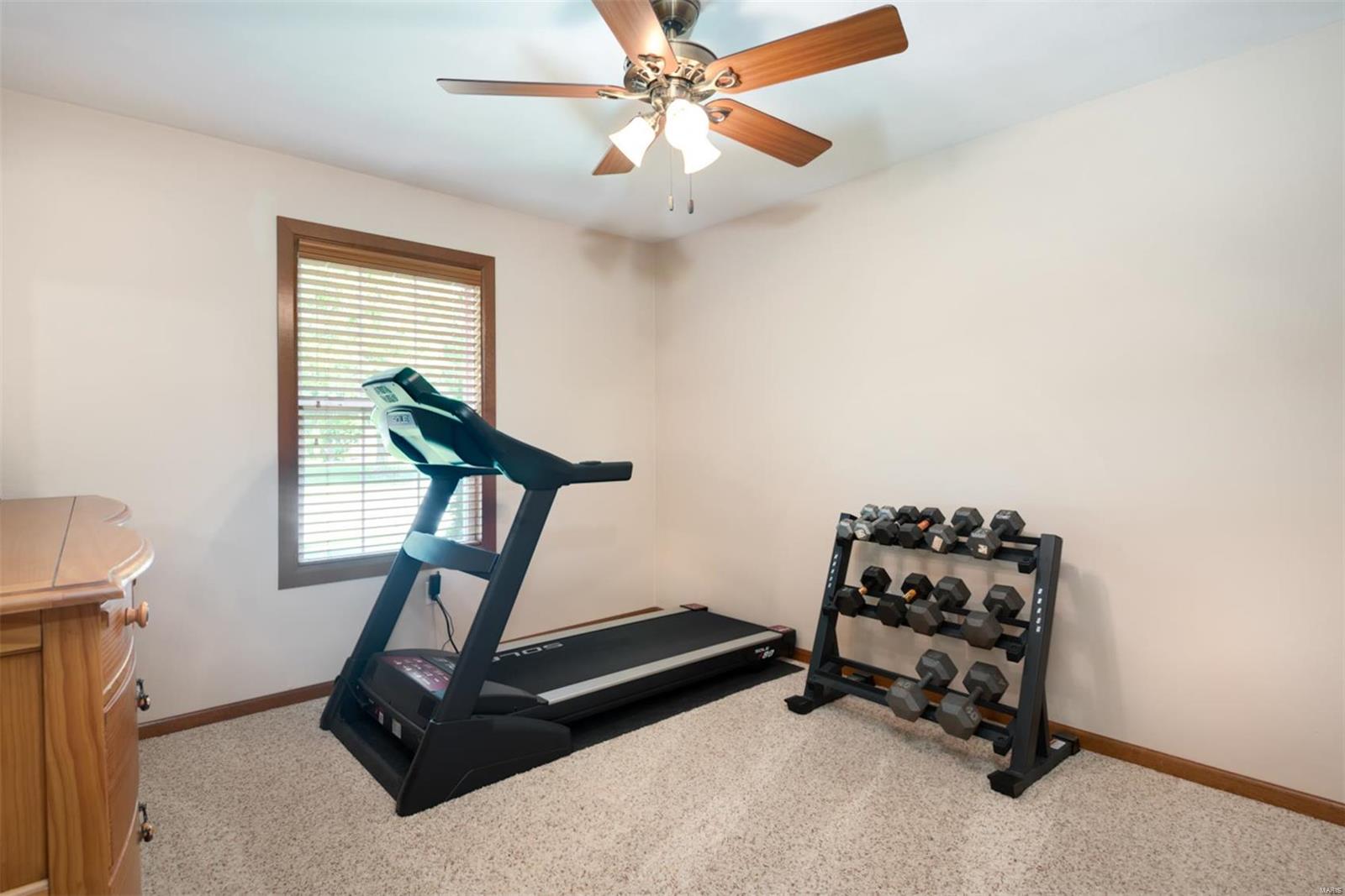 141 Summerlin Ridge O'Fallon, IL 62269 - Photo 23 of 30