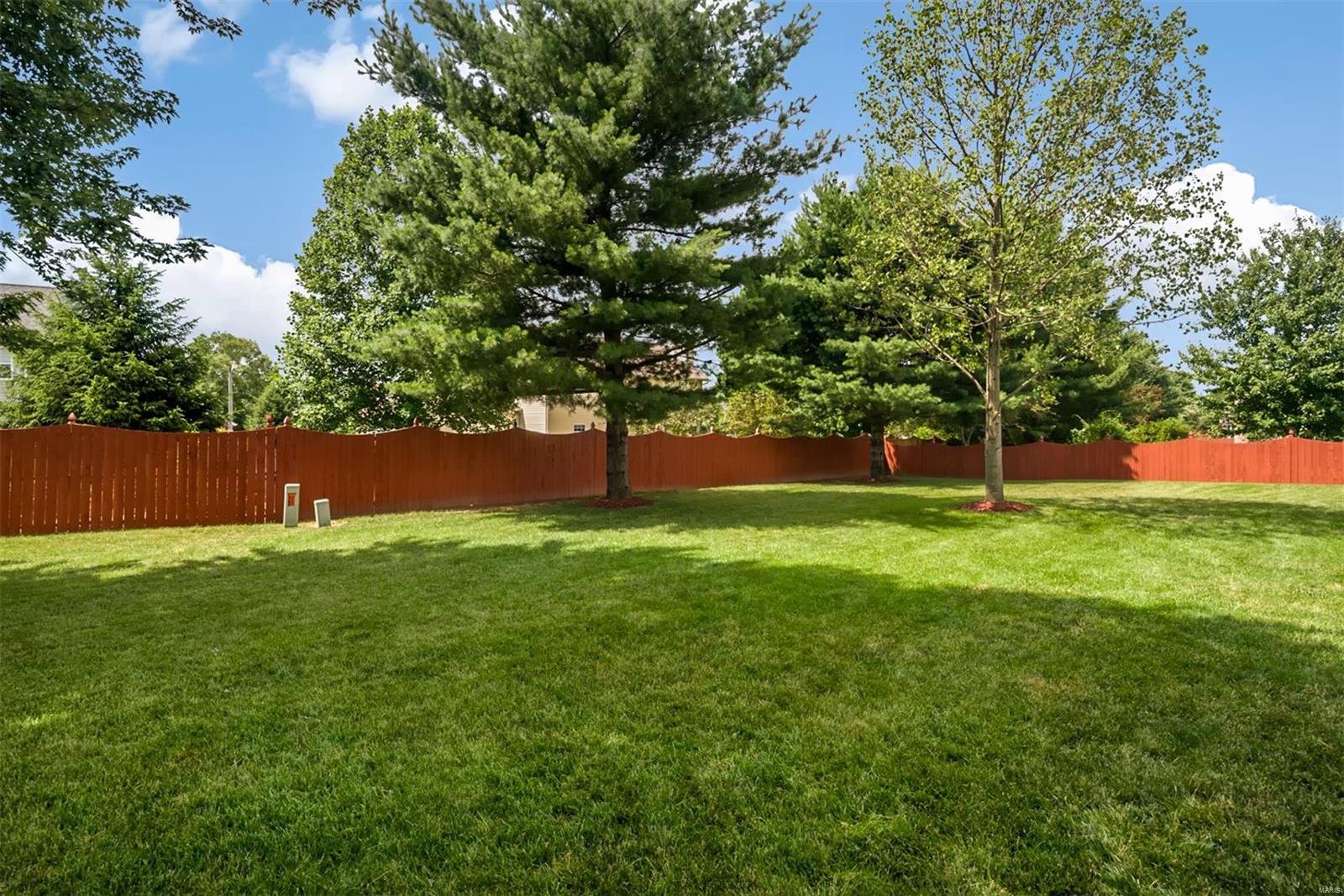 141 Summerlin Ridge O'Fallon, IL 62269 - Photo 5 of 30