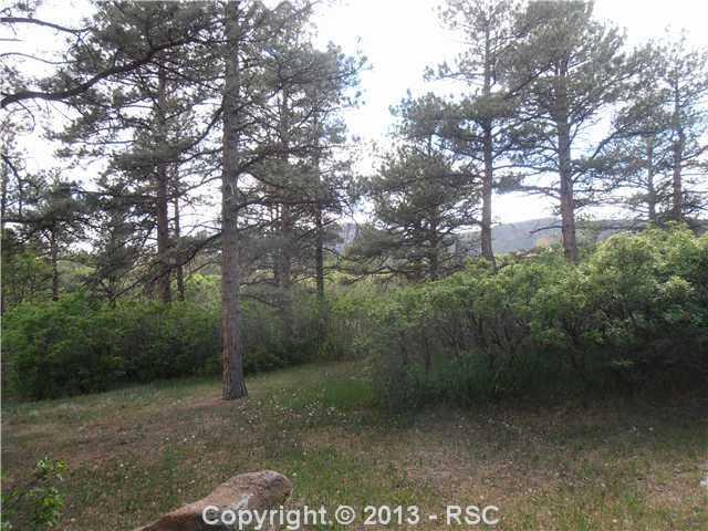 3685 El Rancho Way Monument, CO 80132 - Photo 25 of 25