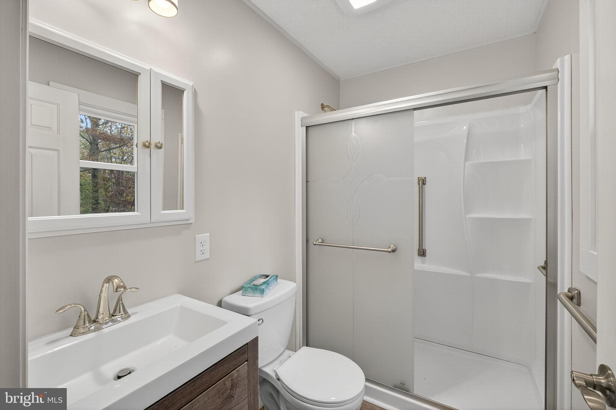 19239 Mountain Track Road Orange, VA 22960 - Photo 12 of 19 a bathroom with a sink toilet and shower