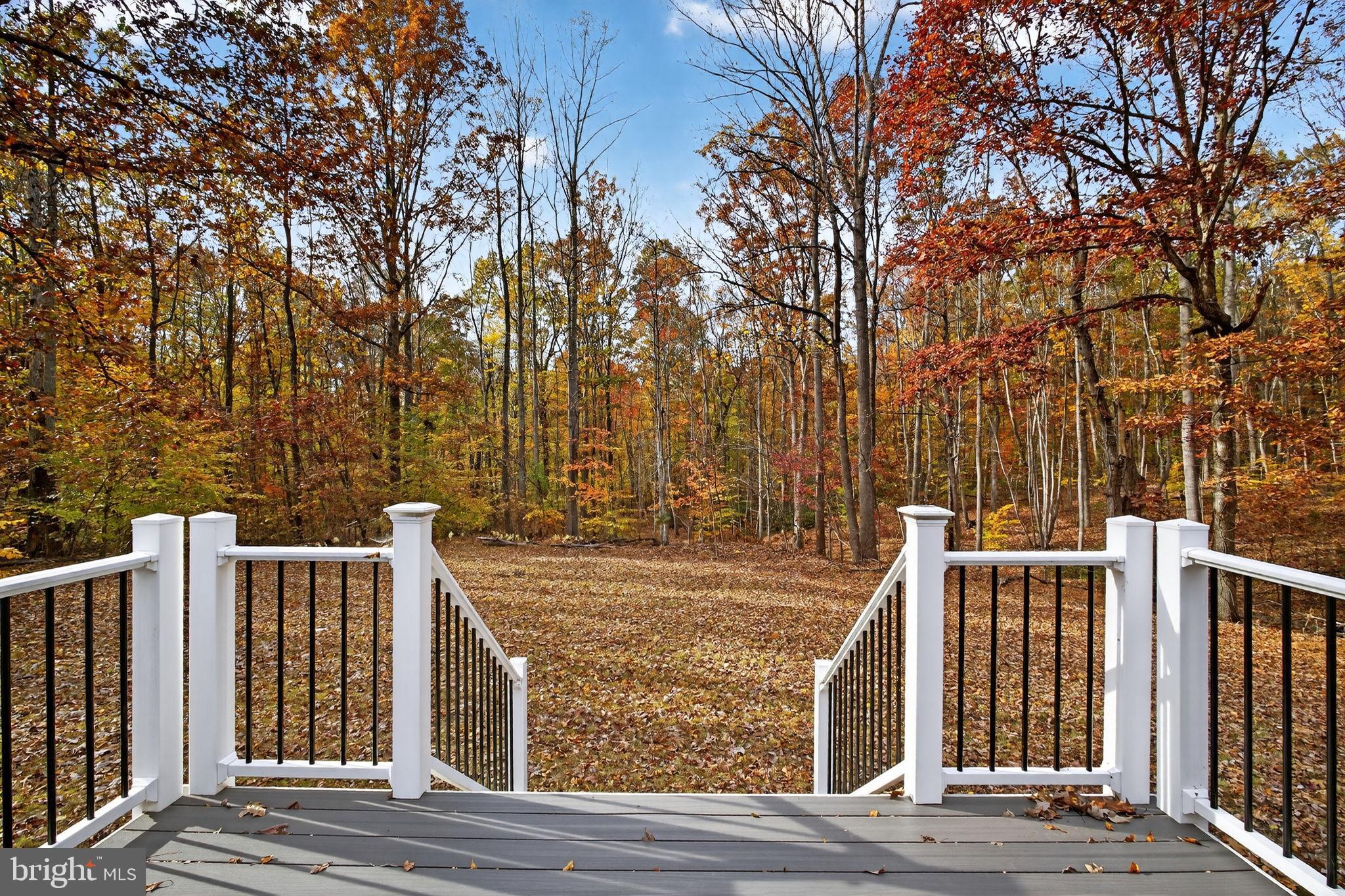 19239 Mountain Track Road Orange, VA 22960 - Photo 15 of 19 a view of house with backyard and trees