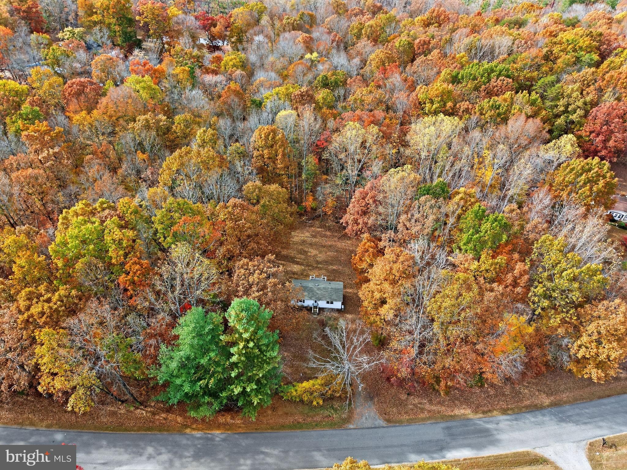 19239 Mountain Track Road Orange, VA 22960 - Photo 18 of 19 a view of entryway with wooden floor