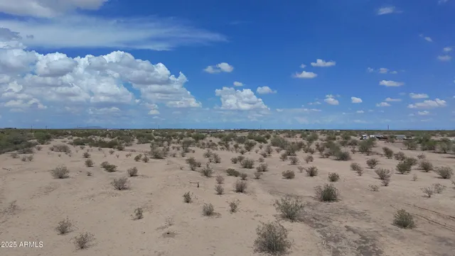 a view of a dry yard with wooden floor