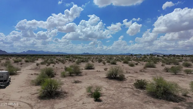 a view of a dry yard