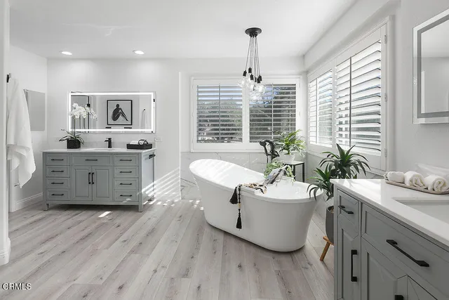 a view of a park with large trees