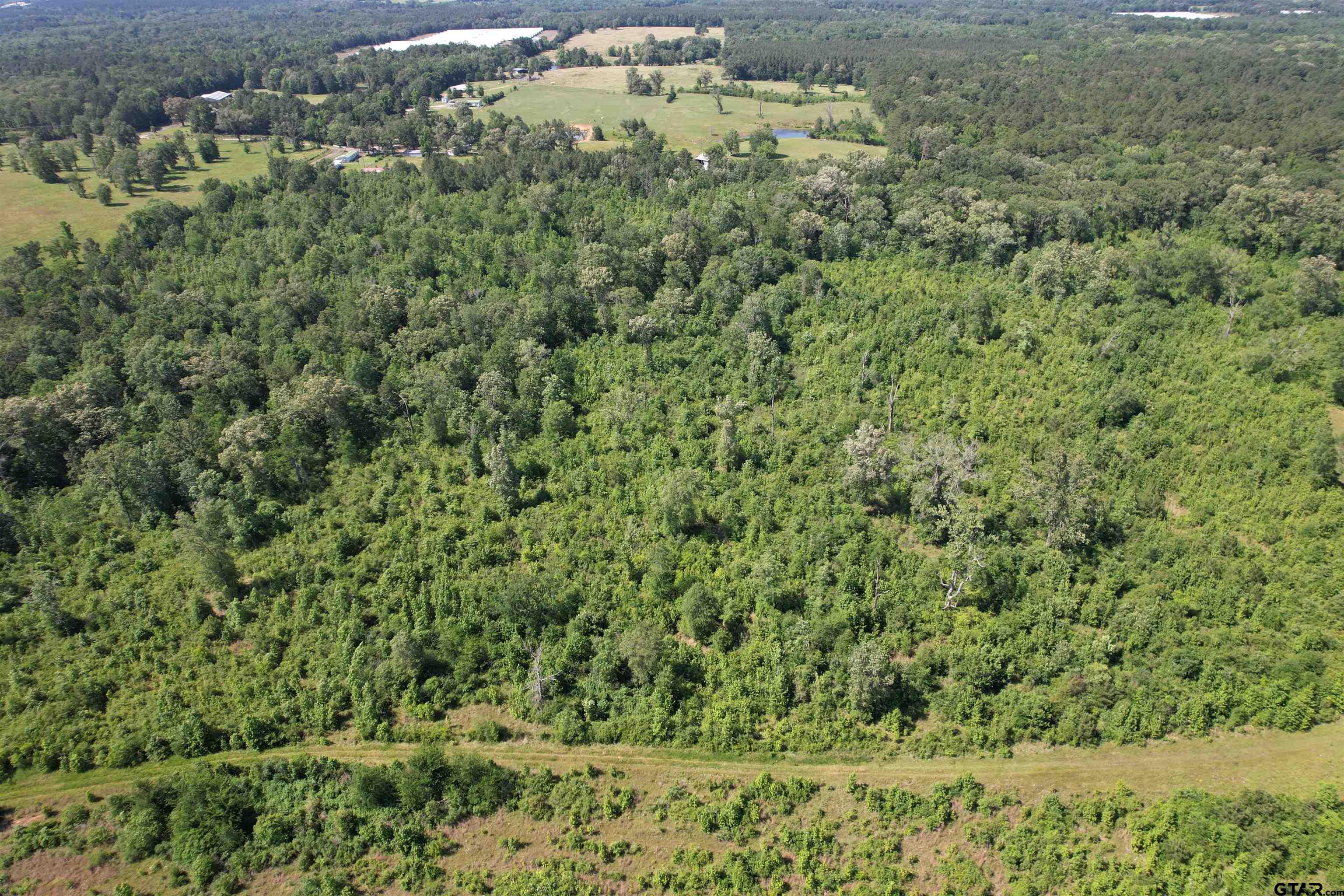 Tbd-d County Road 4021 Timpson, TX 75975 - Photo 4 of 5 a view of a green field