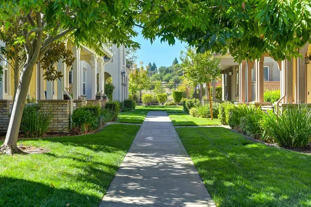 a view of a yard with plants and trees