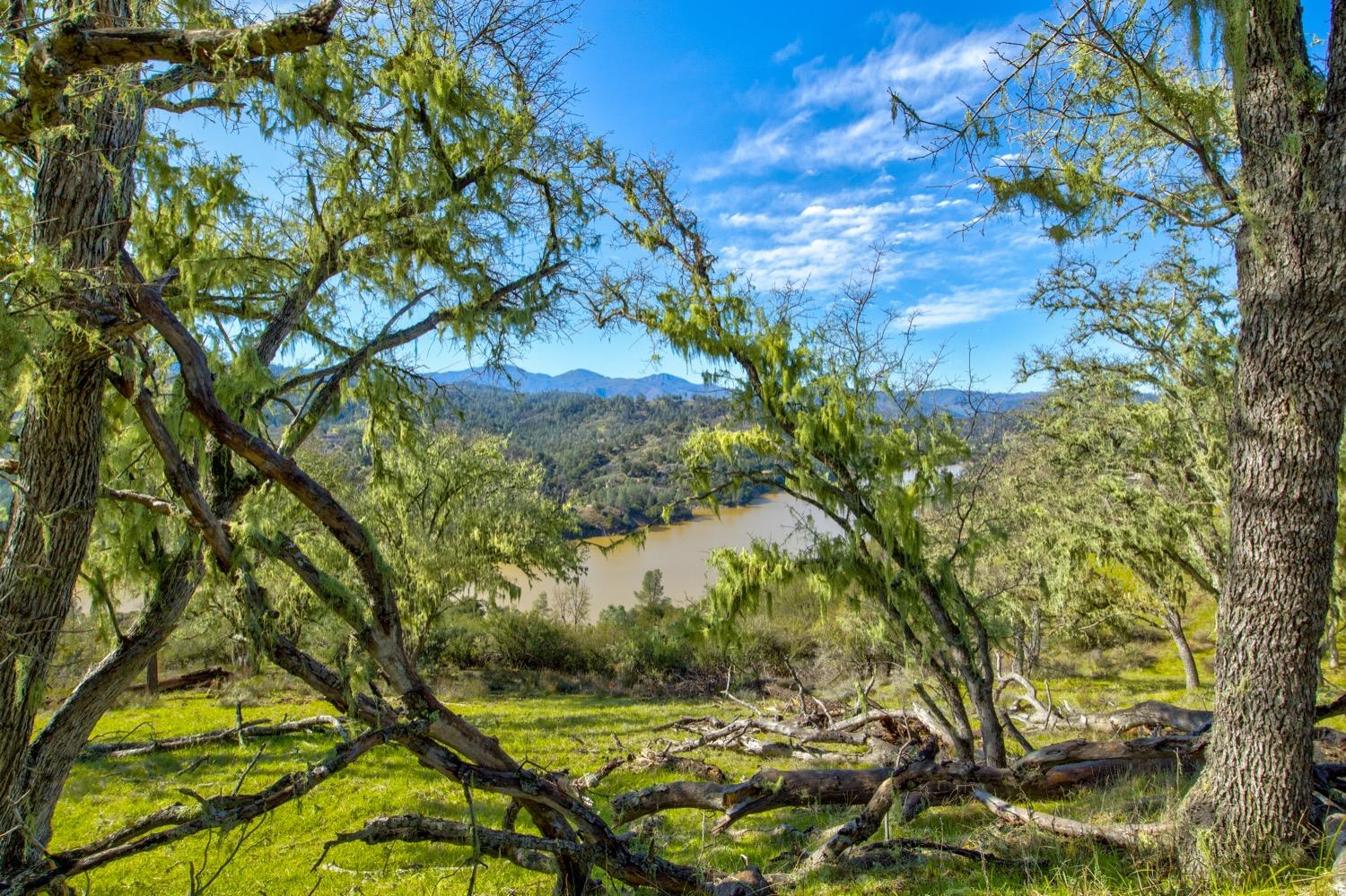 0 Lynch Canyon Road Bradley, CA 93426 - Photo 22 of 83 a view of a tree with a yard