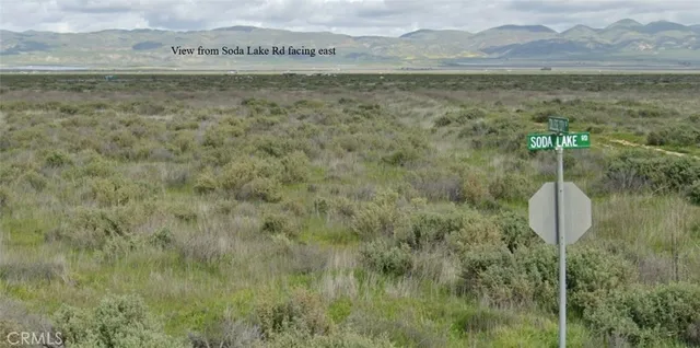 a view of a lake from a yard