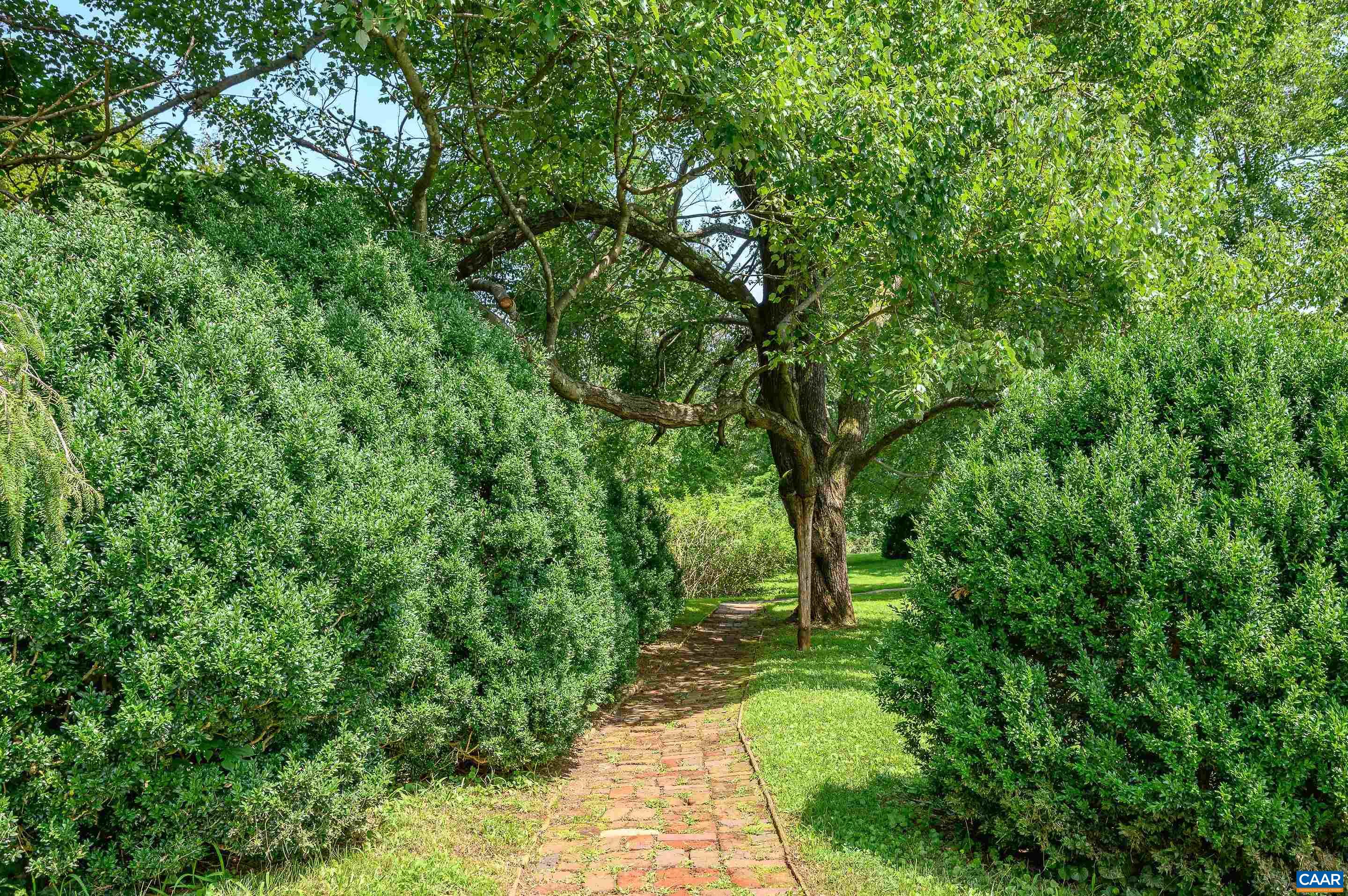 699 Ivy Depot Road Charlottesville, VA 22903 - Photo 38 of 55 a backyard of a house with lots of green space
