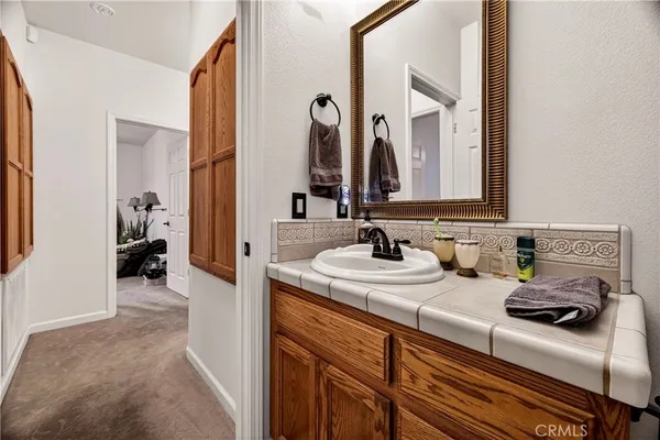 a view of a yard with plants and large trees