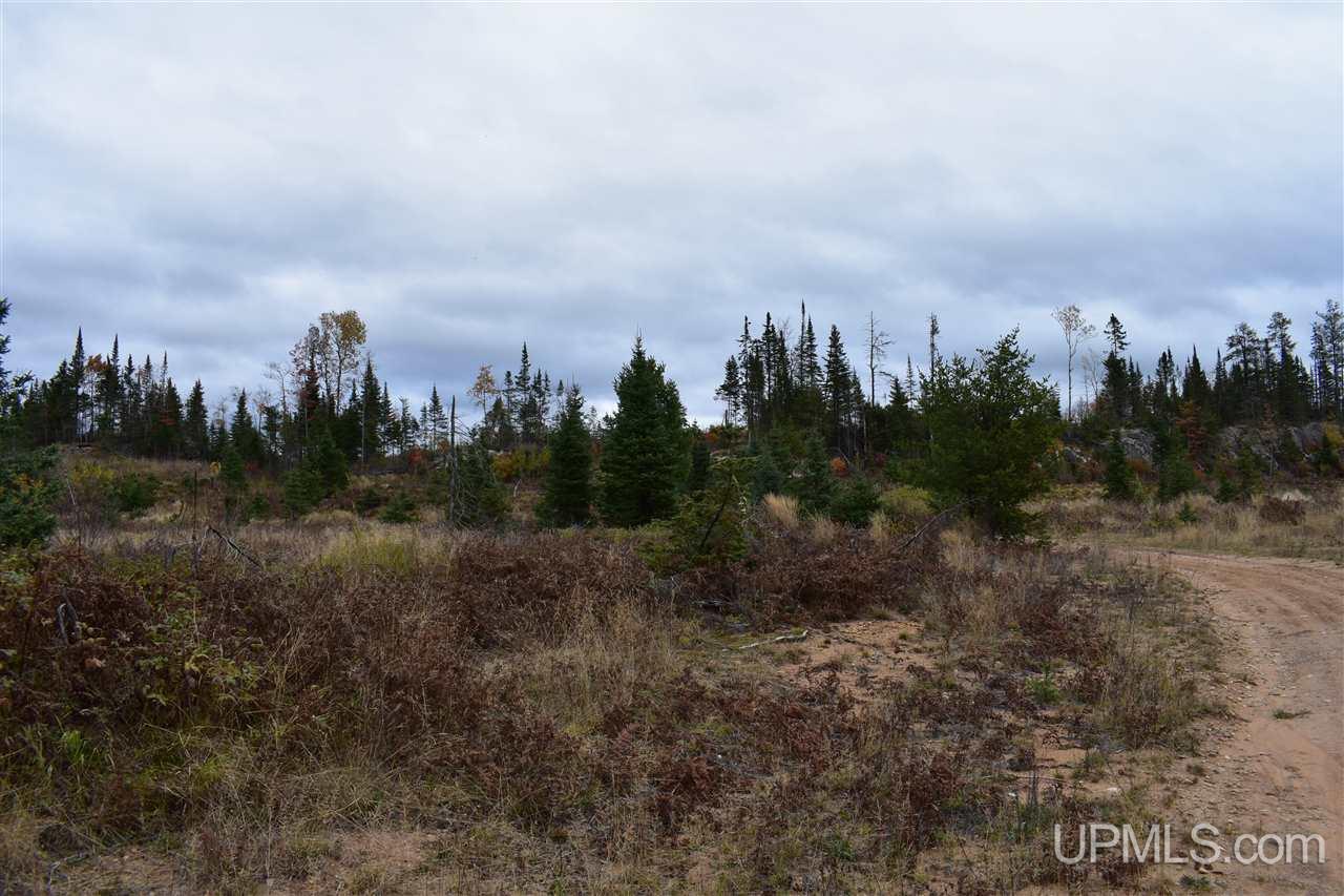 40-acres 40-acres Off Co Road Gwinn, MI 49841 - Photo 4 of 22