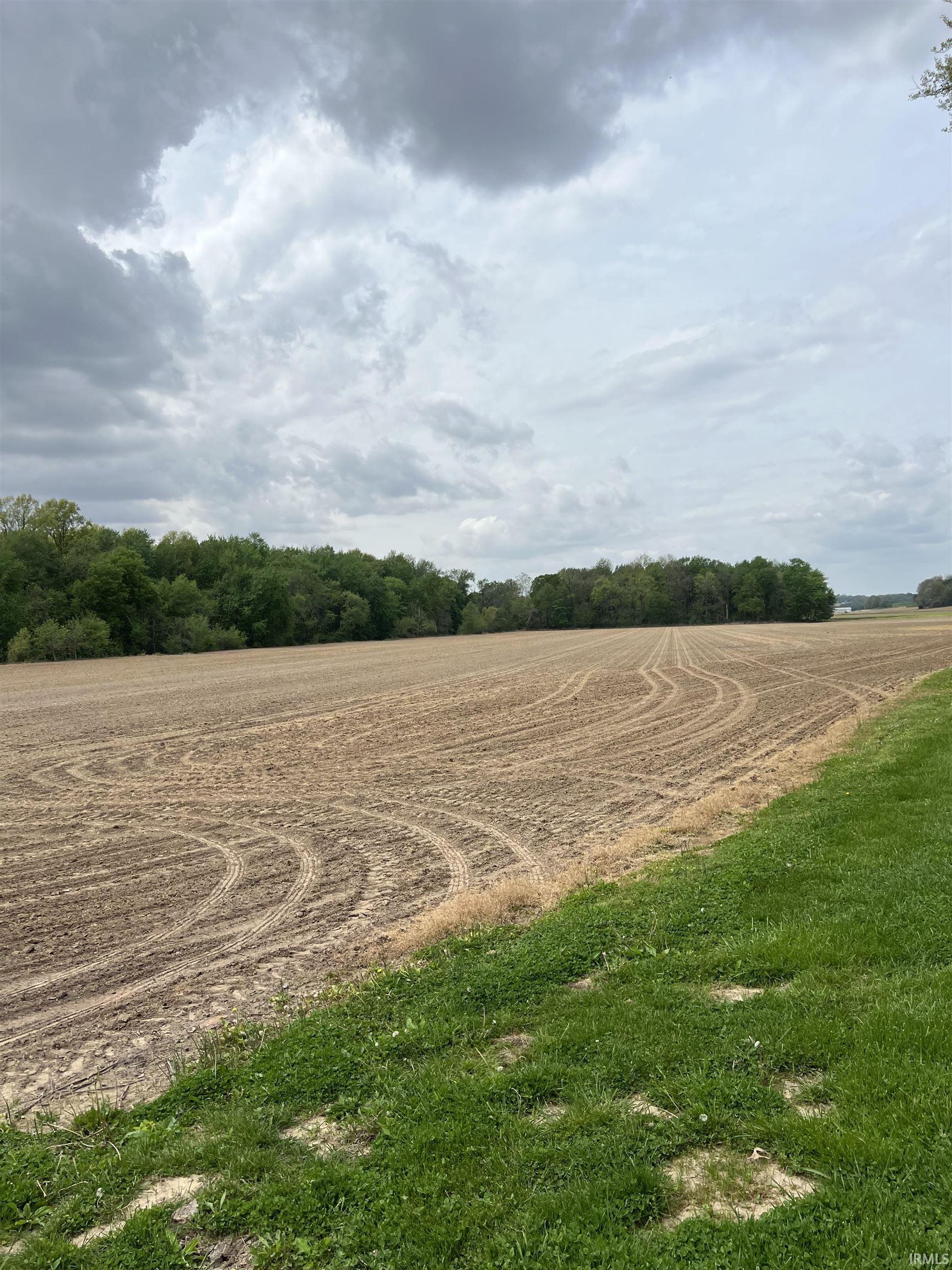 1850 East Holiday Lake Road Ferdinand, IN 47532 - Photo 9 of 10